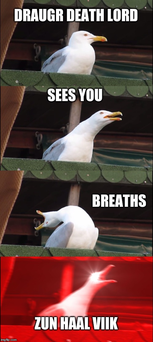 Inhaling Seagull Meme | DRAUGR DEATH LORD; SEES YOU; BREATHS; ZUN HAAL VIIK | image tagged in memes,inhaling seagull | made w/ Imgflip meme maker