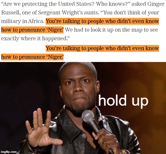 if you didn't know how to pronounce it, how were you pronouncing it...? | hold up | image tagged in hold up hold up,memes,n word | made w/ Imgflip meme maker