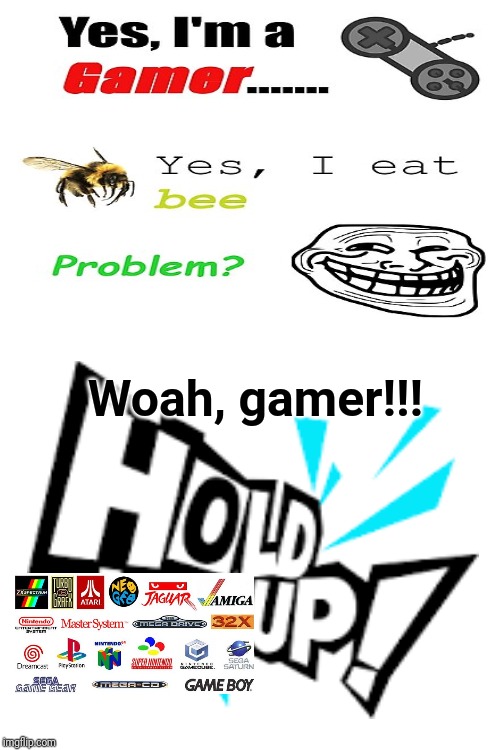 Woah gamer!!! Hold, up! | Woah, gamer!!! | image tagged in blank white template,memes,meme,gaming,gamer,gamers | made w/ Imgflip meme maker