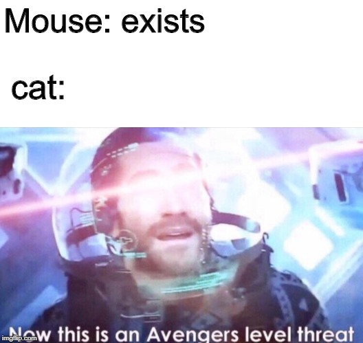Avengers Level Threat | Mouse: exists; cat: | image tagged in avengers level threat,meme,cats,mice,funny,exists | made w/ Imgflip meme maker