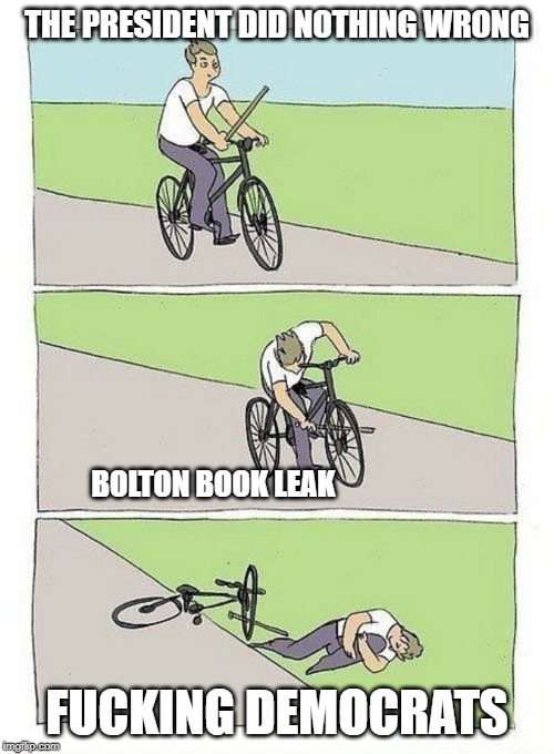 Bike Fall Meme | THE PRESIDENT DID NOTHING WRONG; BOLTON BOOK LEAK; FUCKING DEMOCRATS | image tagged in bike fall | made w/ Imgflip meme maker