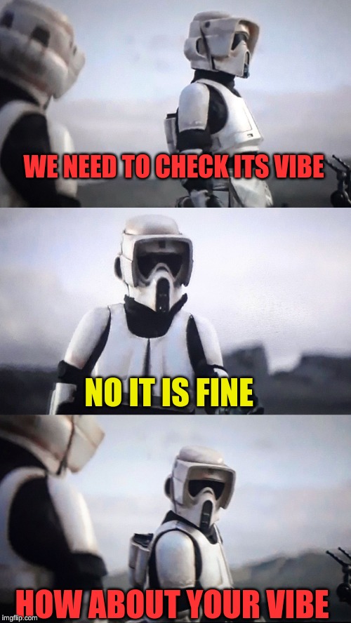 Storm Trooper Conversation | WE NEED TO CHECK ITS VIBE; NO IT IS FINE; HOW ABOUT YOUR VIBE | image tagged in storm trooper conversation | made w/ Imgflip meme maker