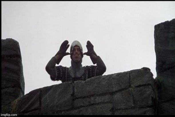 French Taunting in Monty Python's Holy Grail | image tagged in french taunting in monty python's holy grail | made w/ Imgflip meme maker