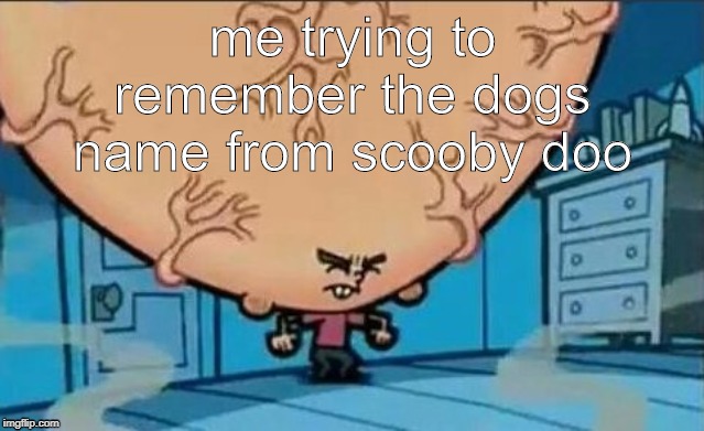 Big Brain timmy | me trying to remember the dogs name from scooby doo | image tagged in big brain timmy | made w/ Imgflip meme maker