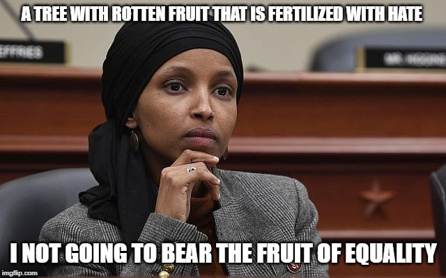 Ilhan Omar | A TREE WITH ROTTEN FRUIT THAT IS FERTILIZED WITH HATE; I NOT GOING TO BEAR THE FRUIT OF EQUALITY | image tagged in ilhan_oman_something,hate | made w/ Imgflip meme maker