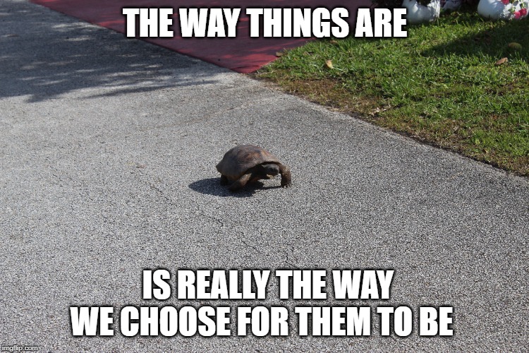 The way things are | THE WAY THINGS ARE; IS REALLY THE WAY WE CHOOSE FOR THEM TO BE | image tagged in life,love,circumstances | made w/ Imgflip meme maker