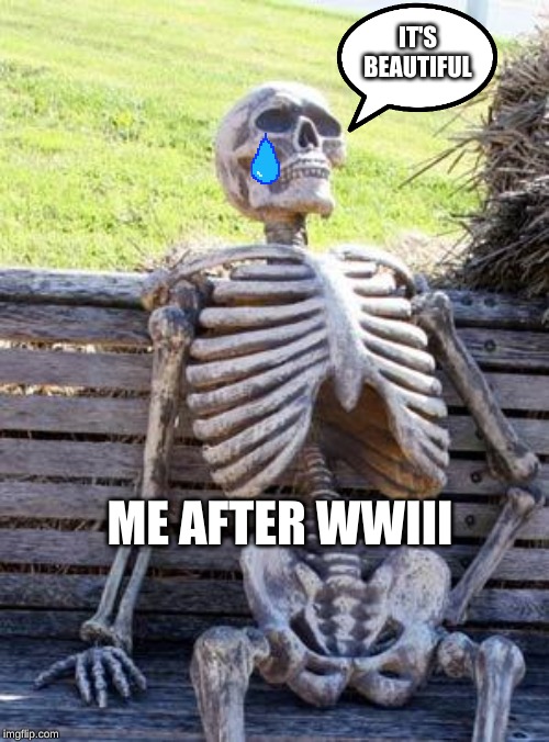 Waiting Skeleton | IT'S BEAUTIFUL; ME AFTER WWIII | image tagged in memes,waiting skeleton | made w/ Imgflip meme maker