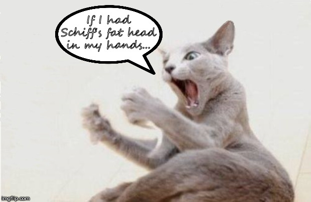 Surprised Cat | If I had Schiff's fat head in my hands... | image tagged in surprised cat | made w/ Imgflip meme maker