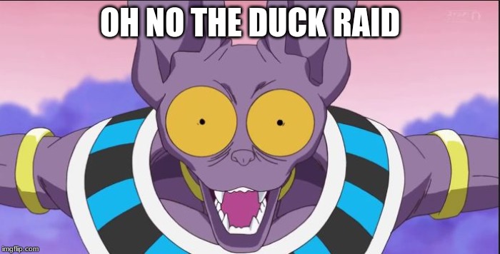 beerus | OH NO THE DUCK RAID | image tagged in beerus | made w/ Imgflip meme maker