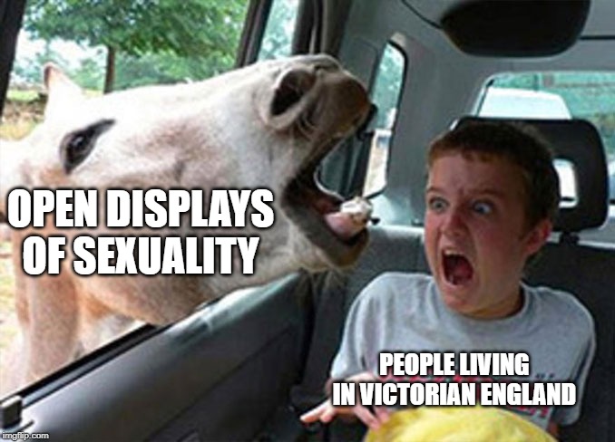 OPEN DISPLAYS OF SEXUALITY; PEOPLE LIVING IN VICTORIAN ENGLAND | image tagged in donkey,scared kid | made w/ Imgflip meme maker