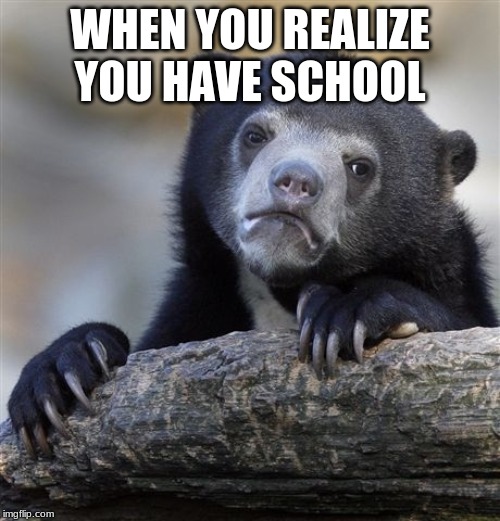 Confession Bear Meme | WHEN YOU REALIZE YOU HAVE SCHOOL | image tagged in memes,confession bear | made w/ Imgflip meme maker