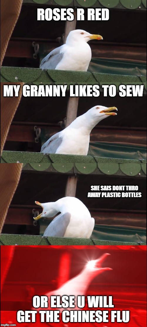 Inhaling Seagull | ROSES R RED; MY GRANNY LIKES TO SEW; SHE SAIS DONT THRO AWAY PLASTIC BOTTLES; OR ELSE U WILL GET THE CHINESE FLU | image tagged in memes,inhaling seagull | made w/ Imgflip meme maker