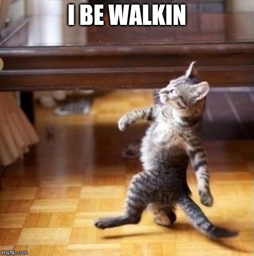I BE WALKIN | image tagged in cat,cute cat,cats,funny cats,cool cat stroll | made w/ Imgflip meme maker