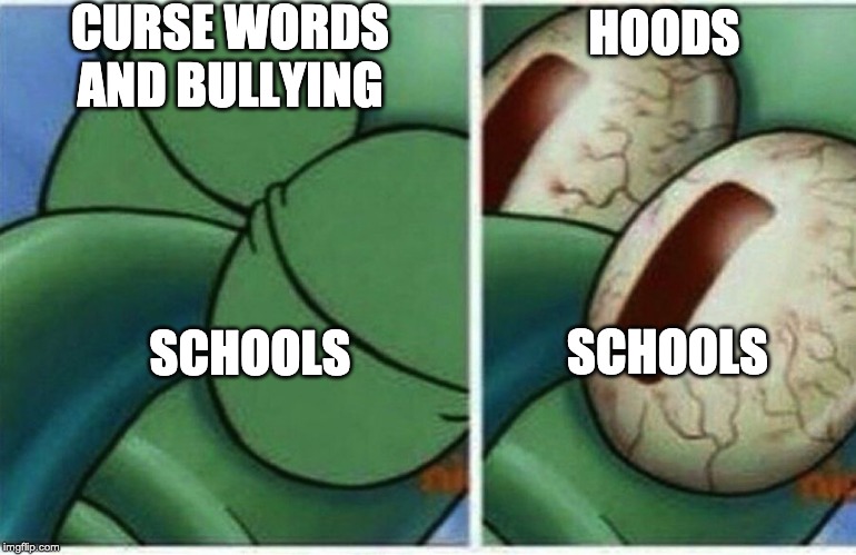 Squidward | CURSE WORDS AND BULLYING; HOODS; SCHOOLS; SCHOOLS | image tagged in squidward | made w/ Imgflip meme maker