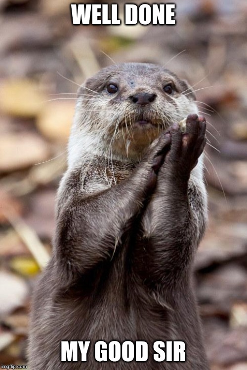 Slow-Clap Otter | WELL DONE MY GOOD SIR | image tagged in slow-clap otter | made w/ Imgflip meme maker