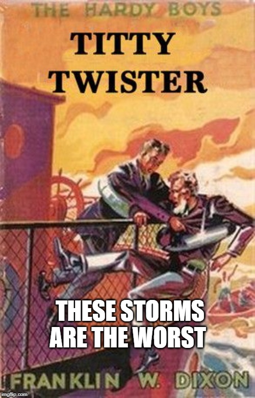 For the storm and weather experts out there predict this. | THESE STORMS ARE THE WORST | image tagged in book | made w/ Imgflip meme maker