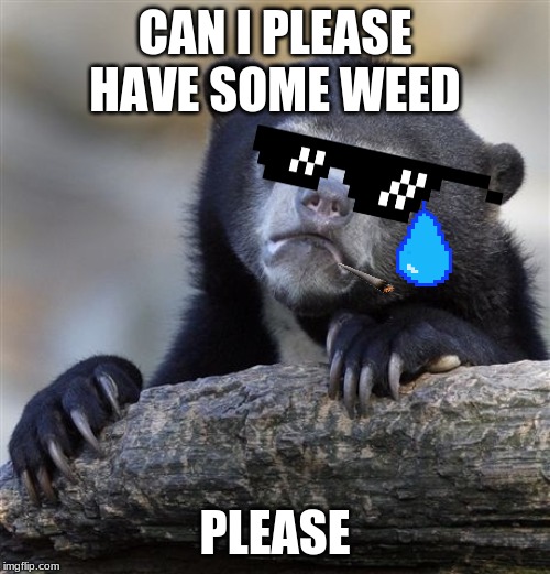 Confession Bear Meme | CAN I PLEASE HAVE SOME WEED; PLEASE | image tagged in memes,confession bear | made w/ Imgflip meme maker