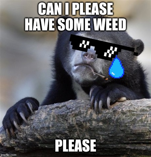 Confession Bear | CAN I PLEASE HAVE SOME WEED; PLEASE | image tagged in memes,confession bear | made w/ Imgflip meme maker