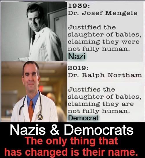 Nazis & Democrats: Birds of a feather | image tagged in birds of a feather,nazis,democrats,infanticide,genocide,white supremacists | made w/ Imgflip meme maker