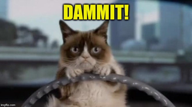 Grumpy cat driving | DAMMIT! | image tagged in grumpy cat driving | made w/ Imgflip meme maker
