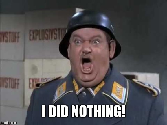 Sgt. Schultz shouting | I DID NOTHING! | image tagged in sgt schultz shouting | made w/ Imgflip meme maker