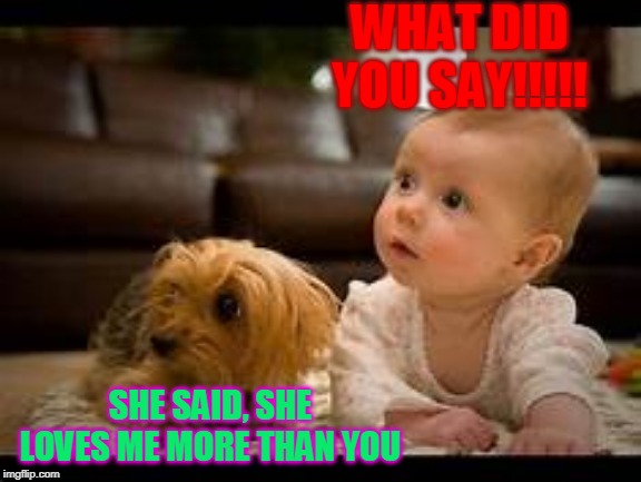 Baby and Dog | WHAT DID YOU SAY!!!!! SHE SAID, SHE LOVES ME MORE THAN YOU | image tagged in funny memes | made w/ Imgflip meme maker
