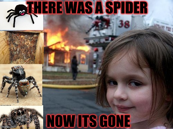 Disaster Girl | THERE WAS A SPIDER; NOW ITS GONE | image tagged in memes,disaster girl | made w/ Imgflip meme maker