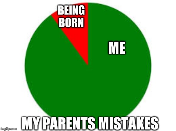 pie chart | BEING BORN; ME; MY PARENTS MISTAKES | image tagged in pie chart | made w/ Imgflip meme maker