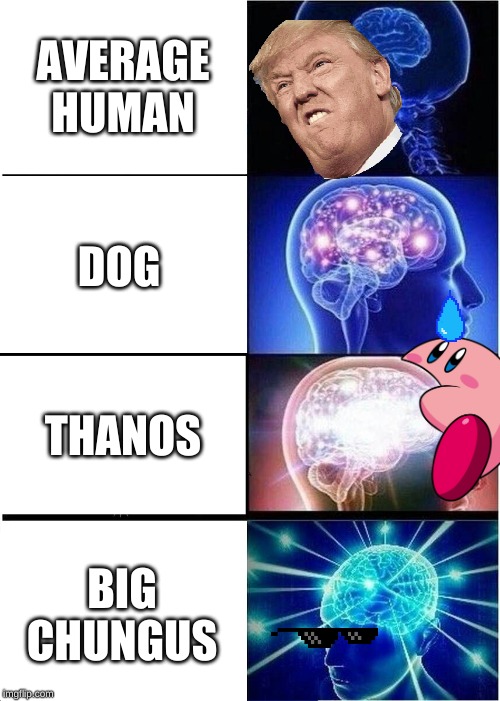 Expanding Brain Meme | AVERAGE HUMAN; DOG; THANOS; BIG CHUNGUS | image tagged in memes,expanding brain | made w/ Imgflip meme maker