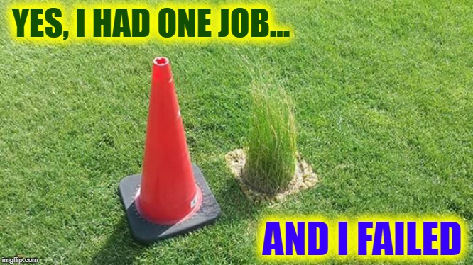 Why Quit My Job as a Gardner | YES, I HAD ONE JOB... AND I FAILED | image tagged in vince vance,traffic,cone,lawn,fail,you had one job | made w/ Imgflip meme maker