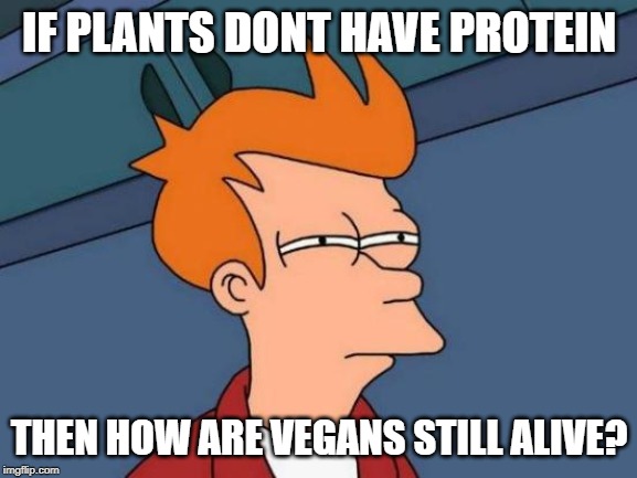 Futurama Fry | IF PLANTS DONT HAVE PROTEIN; THEN HOW ARE VEGANS STILL ALIVE? | image tagged in memes,futurama fry | made w/ Imgflip meme maker