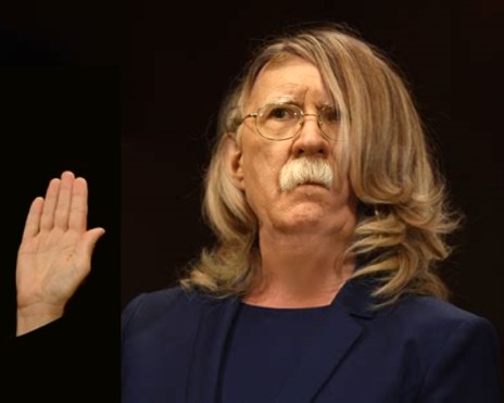 Blasey Ford Bolton Blank Meme Template