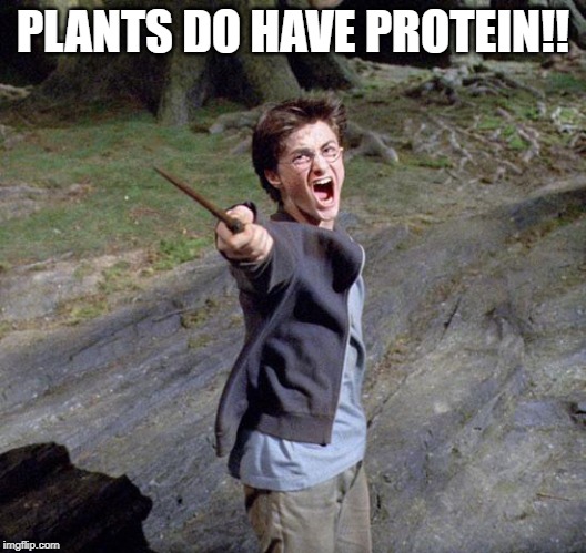 Harry potter | PLANTS DO HAVE PROTEIN!! | image tagged in harry potter | made w/ Imgflip meme maker