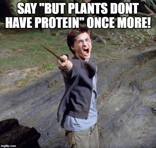 Harry potter | SAY "BUT PLANTS DONT HAVE PROTEIN" ONCE MORE! | image tagged in harry potter | made w/ Imgflip meme maker