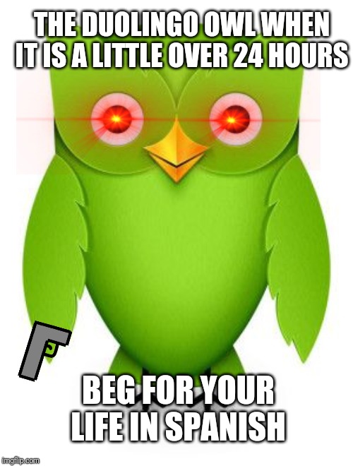 Duolingo Hunting For Humans That Forgot Lessons | THE DUOLINGO OWL WHEN IT IS A LITTLE OVER 24 HOURS; BEG FOR YOUR LIFE IN SPANISH | image tagged in memes,duolingo bird,duolingo | made w/ Imgflip meme maker