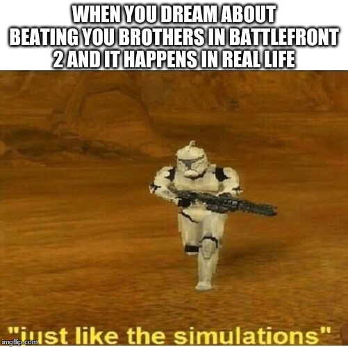 Just like the simulations | WHEN YOU DREAM ABOUT BEATING YOU BROTHERS IN BATTLEFRONT 2 AND IT HAPPENS IN REAL LIFE | image tagged in just like the simulations | made w/ Imgflip meme maker