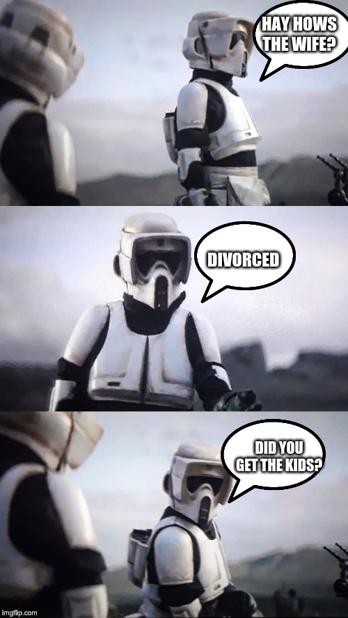 Storm Trooper Conversation | HAY HOWS THE WIFE? DIVORCED; DID YOU GET THE KIDS? | image tagged in storm trooper conversation | made w/ Imgflip meme maker