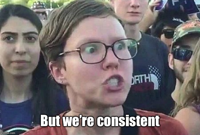 Triggered Liberal | But we’re consistent | image tagged in triggered liberal | made w/ Imgflip meme maker