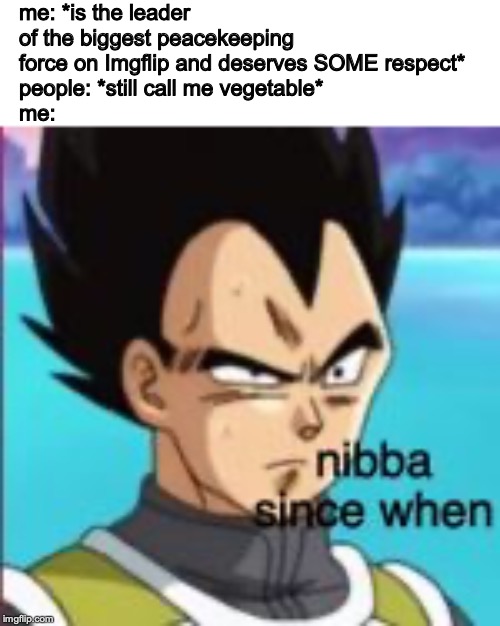 Seriously, Guys?!  This is Why Our Sheriff Changed His Username!! | me: *is the leader of the biggest peacekeeping force on Imgflip and deserves SOME respect*
people: *still call me vegetable*
me: | image tagged in confused vegeta,bruh | made w/ Imgflip meme maker