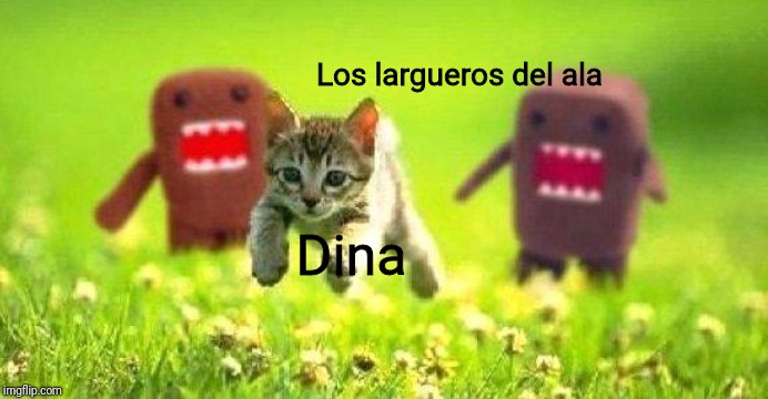 Kittens Running from Domo | Los largueros del ala; Dina | image tagged in kittens running from domo | made w/ Imgflip meme maker
