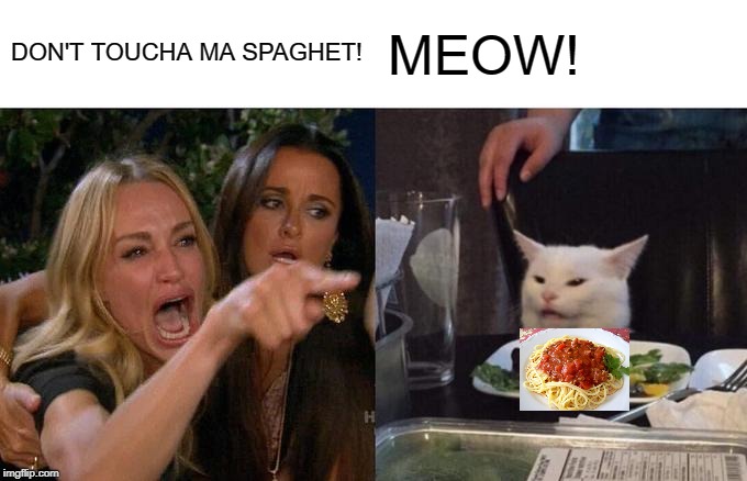 Woman Yelling At Cat | DON'T TOUCHA MA SPAGHET! MEOW! | image tagged in memes,woman yelling at cat | made w/ Imgflip meme maker