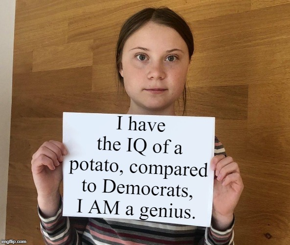 Greta. | I have the IQ of a potato, compared to Democrats, I AM a genius. | image tagged in greta | made w/ Imgflip meme maker