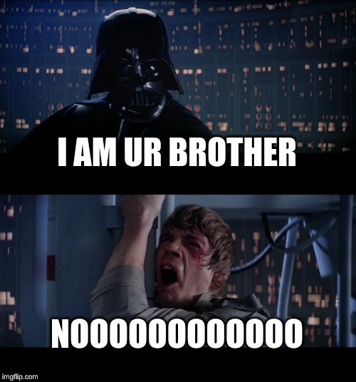 Star Wars No Meme | I AM UR BROTHER NOOOOOOOOOOOO | image tagged in memes,star wars no | made w/ Imgflip meme maker