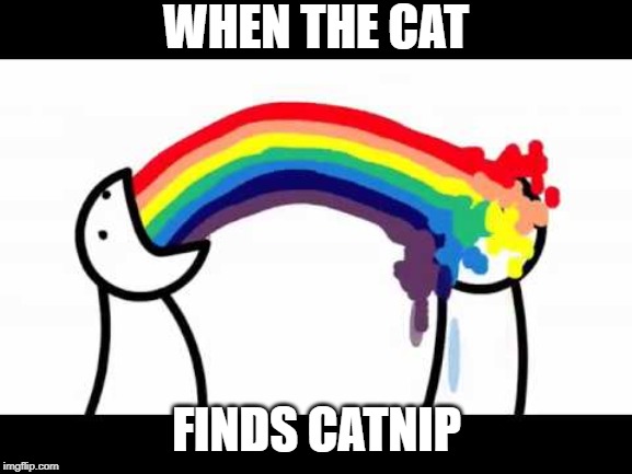 ASDF problems | WHEN THE CAT; FINDS CATNIP | image tagged in asdf problems | made w/ Imgflip meme maker