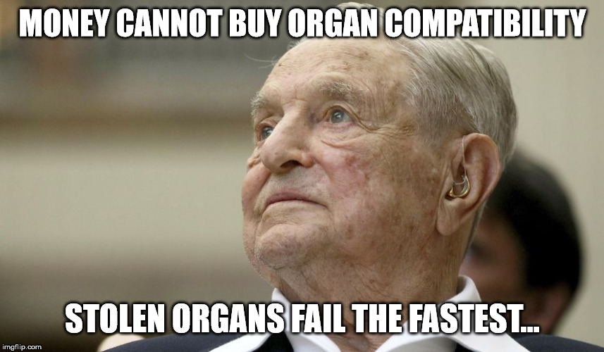 MONEY CANNOT BUY ORGAN COMPATIBILITY; STOLEN ORGANS FAIL THE FASTEST... | image tagged in vengeance | made w/ Imgflip meme maker