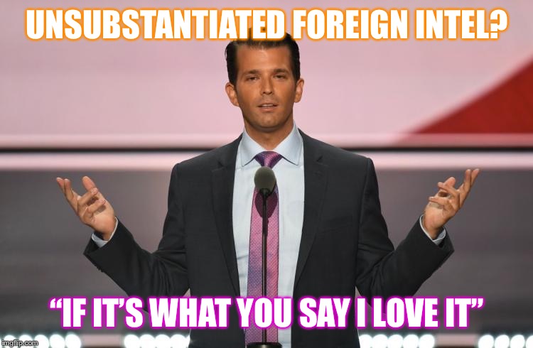 Self-explanatory. | UNSUBSTANTIATED FOREIGN INTEL? “IF IT’S WHAT YOU SAY I LOVE IT” | image tagged in donald trump jr | made w/ Imgflip meme maker