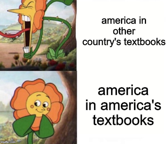 cagney carnation | america in other country's textbooks; america in america's textbooks | image tagged in cagney carnation | made w/ Imgflip meme maker