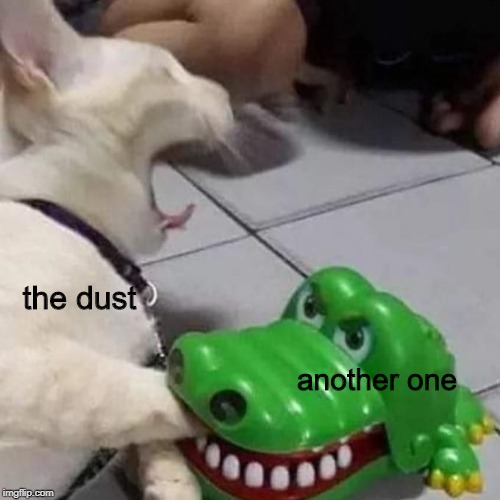 Screaming Cat Crocodile | the dust; another one | image tagged in screaming cat crocodile | made w/ Imgflip meme maker