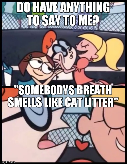 Say it Again, Dexter | DO HAVE ANYTHING TO SAY TO ME? "SOMEBODYS BREATH SMELLS LIKE CAT LITTER" | image tagged in memes,say it again dexter | made w/ Imgflip meme maker