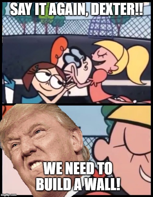 SAY IT AGAIN, DEXTER!! WE NEED TO BUILD A WALL! | image tagged in build a wall | made w/ Imgflip meme maker